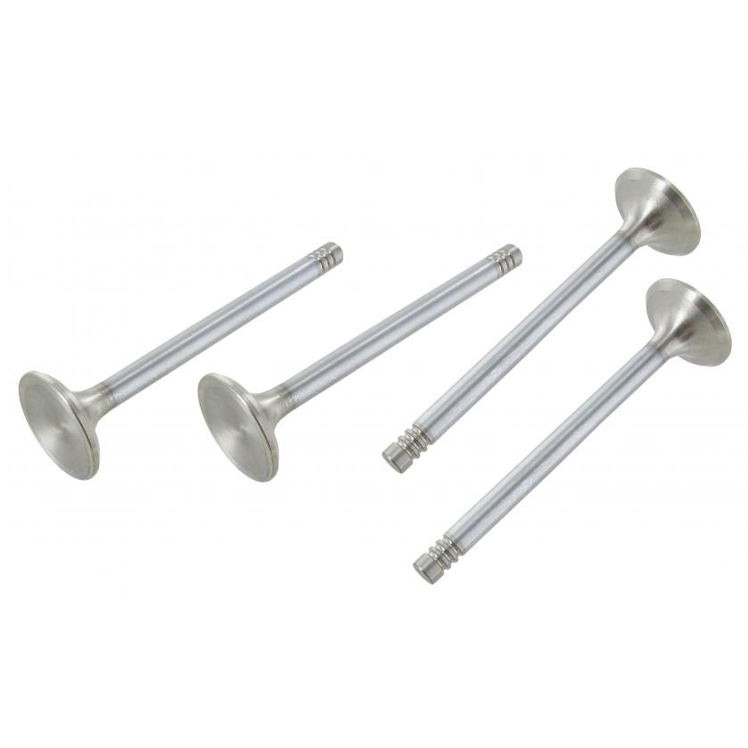 Kleppen roestvrijstaal 4 stuks. 32.0 mm x 8 mm (Type 1 motoren) 