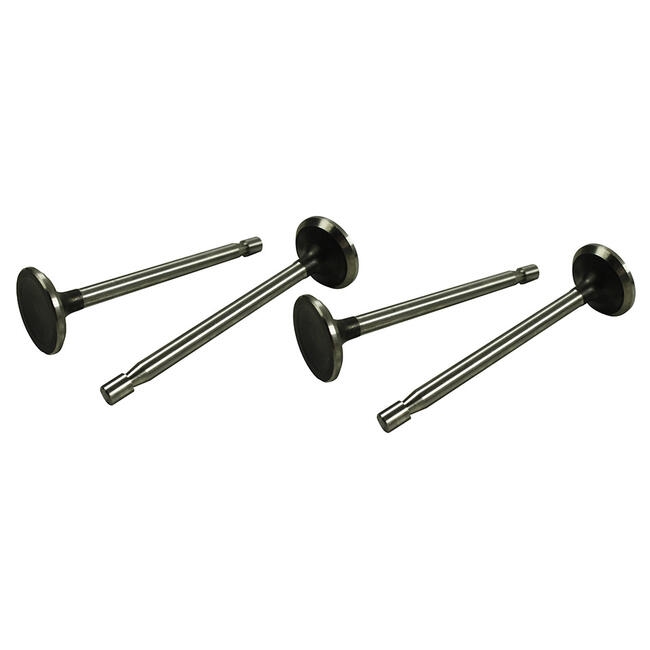 Inlaat kleppen 30 x 7 mm 4 stuks. Type 1 alleen 30 pk 111109601A