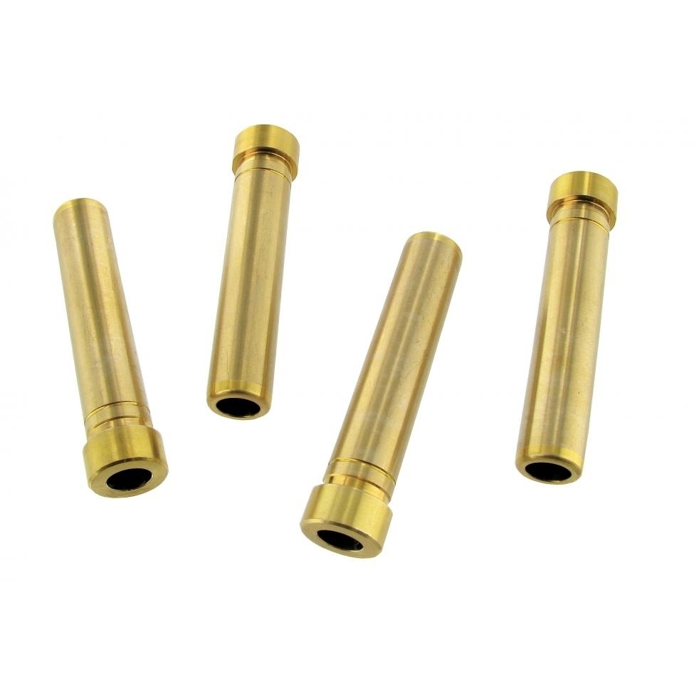 Inlaat klepgeleiders (4 stuks) 113101405A