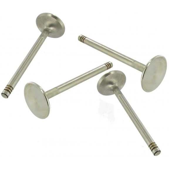 Kleppen roestvrijstaal 4 stuks. 37.5 mm x 8 mm