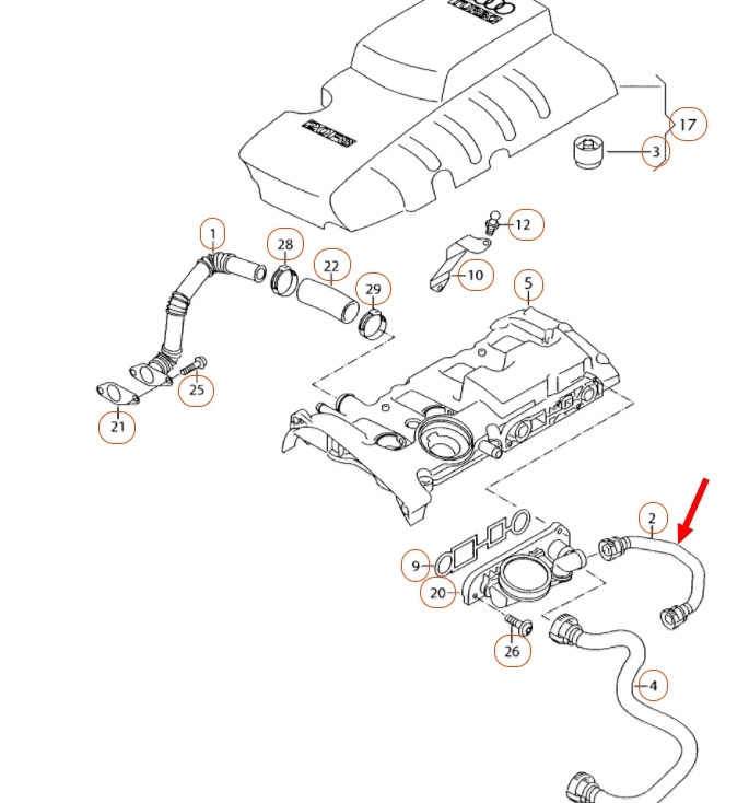 Slang ontluchting motorblok 06F103221H 
