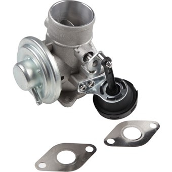 EGR Uitlaatgasregelingsklep 038131501AR