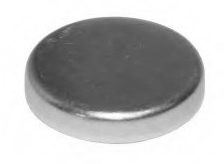 Afsluitplaatje / plug voor cilinder blok, 24 mm  (vriesstop)