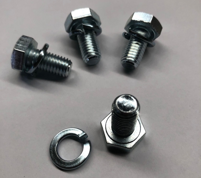 Bout en veerring (o.a. torsiestaafdeksels) M10x20 (4 stuks)