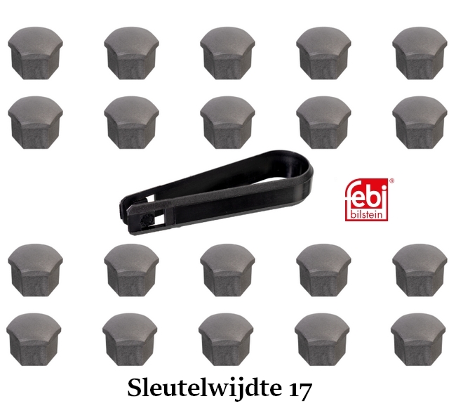 Set afdekkapjes voor wielbouten maat 17 (grijs) 321601173a