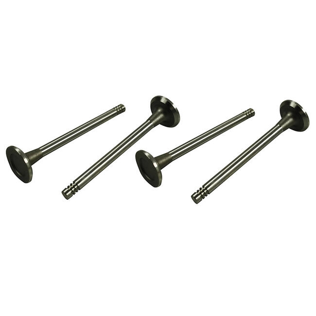 Kleppen uitlaat 30 X 8 mm 4 stuks. 1200 8/1960 en later (behalve 30 pk). 1300 T/M 7/1970 113109612